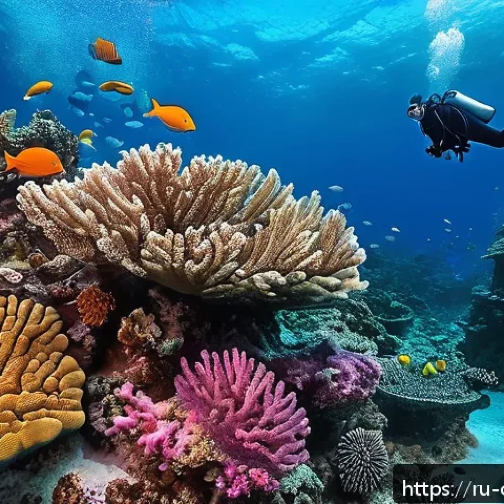콜롬비아 다이빙 명소 추천 - A vibrant underwater coral reef scene in the Rosario Nature Reserve, showcasing a diverse mosaic of ...